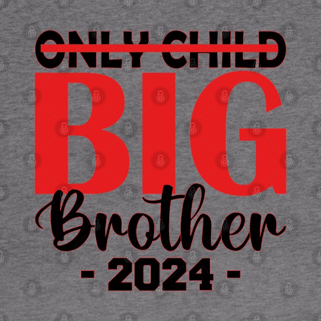 only child big brother 2024 by mdr design